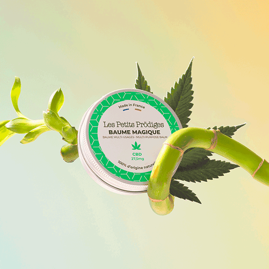 LES PETITS PRÖDIGES - Baume Magique Multi-Usages au CBD photo 2