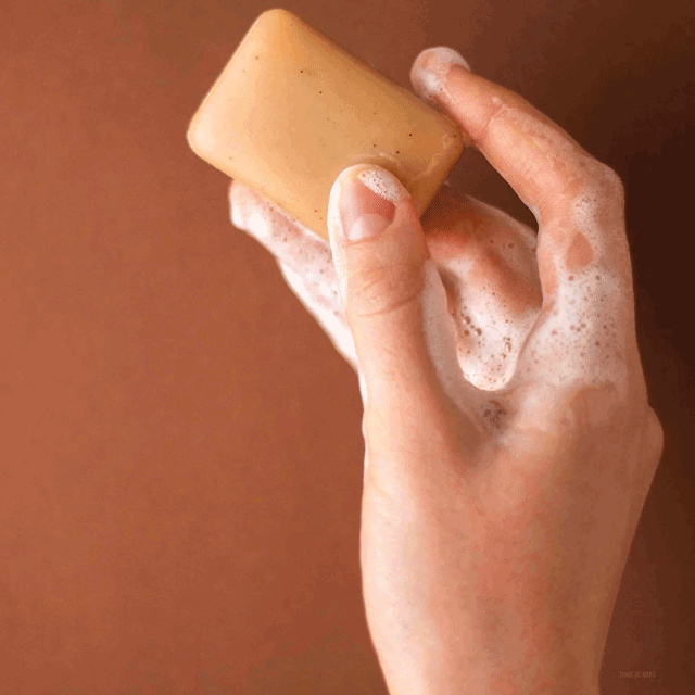Savon Solide Mains Reddition