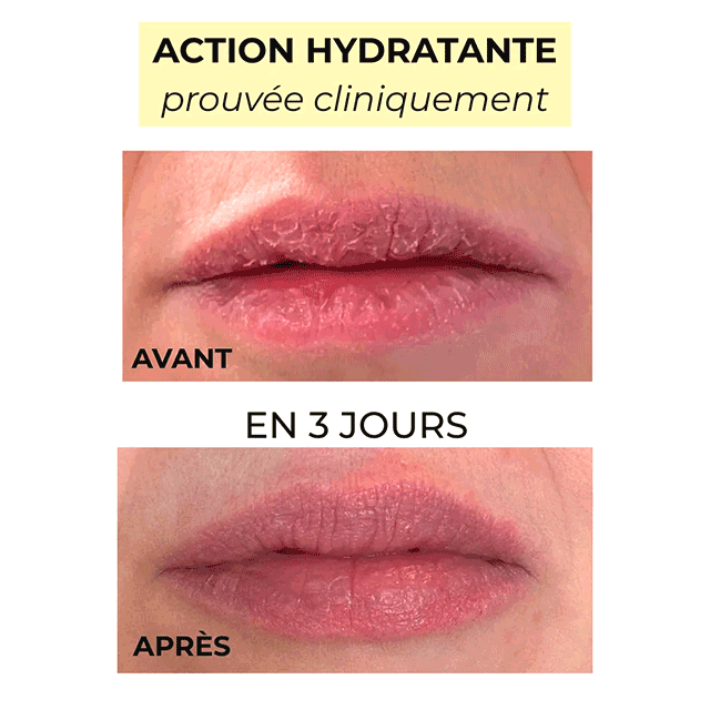Rouge à Lèvres Hydratant Rose d'Hiver