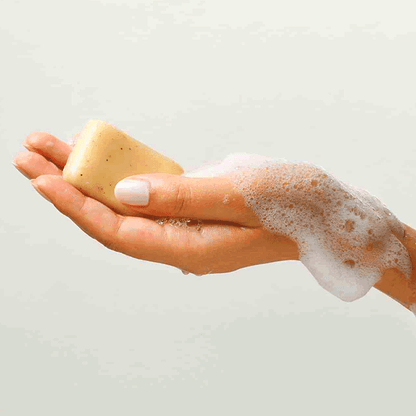 Savon Solide Mains Reddition